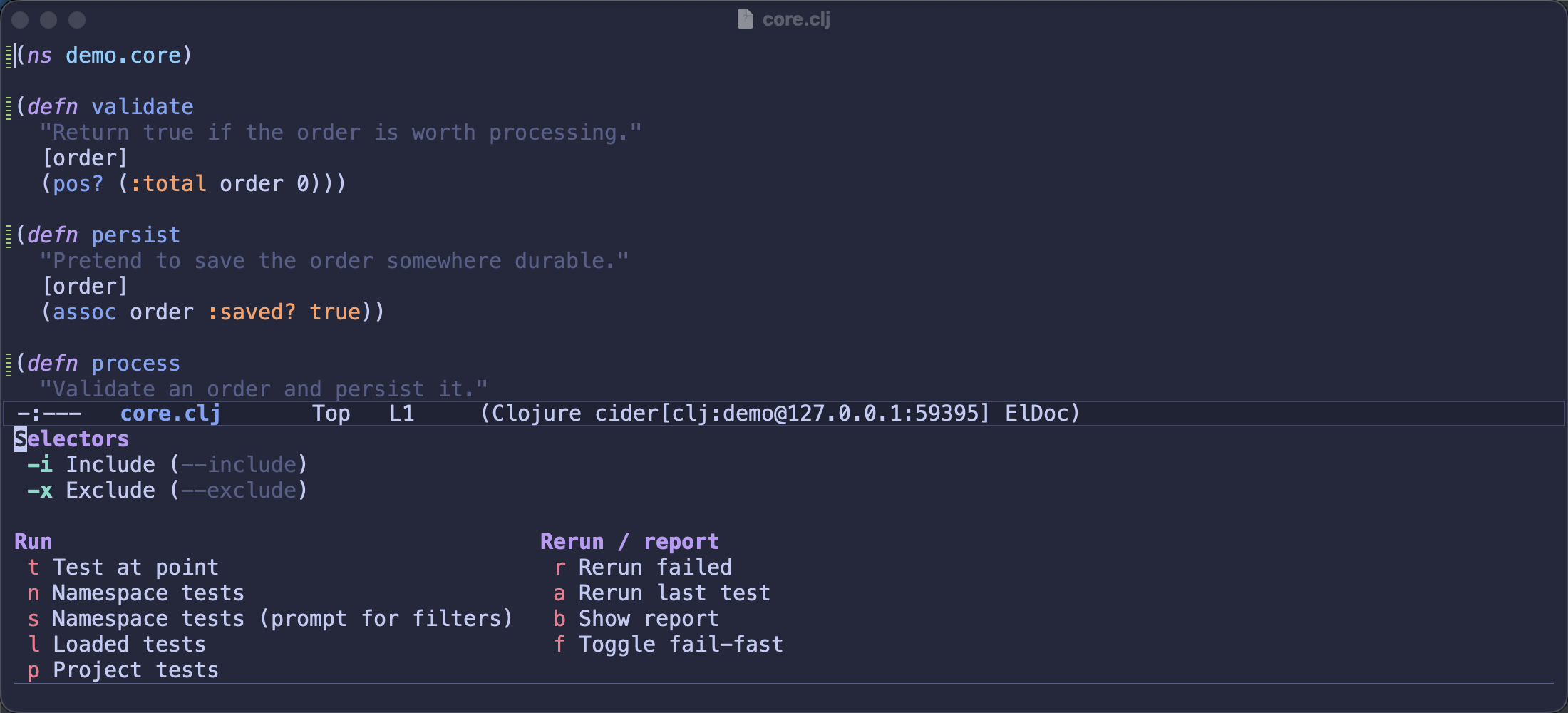 The CIDER test transient menu with its include and exclude selector arguments